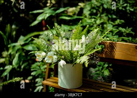 Blumenstrauß von weißen Blumen Alstroemeria, peruanischen Lilien und Nephrolepis cordifolia, Habitus, im Garten auf der Bank Stockfoto