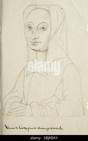Jacques Le Boucq (1520–1573) schuf um 1570 ein Porträt von Adrienne de Halluin, der Ehefrau von Wilhelm von Ligny. Dieses Werk aus dem 16. Jahrhundert ist Teil des Receuil d'Arras, einer Sammlung von Porträts, die von Le Boucq kopiert wurden. Stockfoto