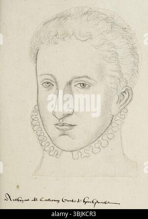 Dieses zweite Porträt von Antoine Lalaing Hoogstraten, datiert um 1570, wurde von Jacques Le Boucq als Teil der Sammlung von kopierten Porträts aus dem 16. Jahrhundert gemalt. Stockfoto