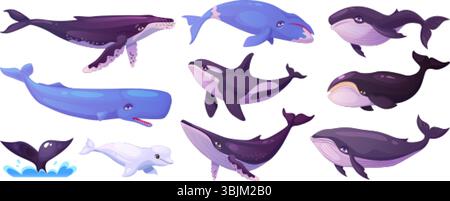 Zeichentrickwale. Blauwal, Buckelwal Beluga Killerbowhead Orca cachalot Unterwasser Wassertier große Fische Meer Ozean Säugetiere Marine Unterwasser Riesen Swanky Vektor Illustration Original Kunstwerk Stock Vektor