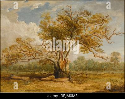 „An Oak Tree in Richmond Park with a Herd of Brach Deer daneben“ von James Ward (1769–1859) ist ein Ölgemälde, das die friedliche ländliche Szene im Richmond Park, London, mit einer Herde von Damhirschen um eine Eiche zeigt. Stockfoto
