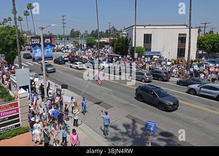 Los Angeles, Kalifornien, USA - 14. Juni 2025: Demonstranten werden entlang des Ventura Blvd gezeigt. In Studio City während des „No Kings“-Protestes. Stockfoto