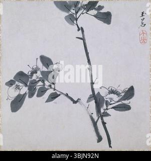 Dieses Gemälde von Bada Shanren (Zhu da, 1626–1705) zeigt zwei Zweige der Kamelie und zeigt den unverwechselbaren Stil der botanischen Illustration des Künstlers. Das um 1681 entstandene Werk demonstriert Shanrens Geschick, Blumen mit zarten Pinselstrichen darzustellen, und seine Verwendung von Symbolismus, um Bedeutung zu vermitteln. Es ist Teil der Sammlung des Princeton University Art Museum. Stockfoto
