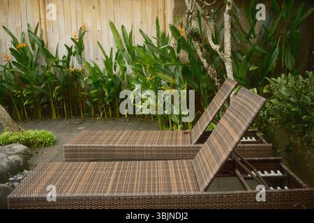 Zwei braune Sonnenliegen aus gewebtem Rattan in einem Innenhof mit tropischem Garten mit Helikonia-Blumen Stockfoto