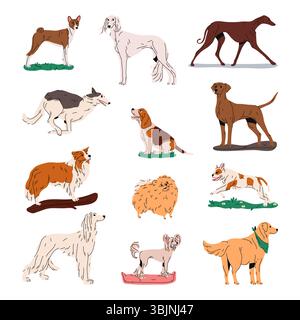 Set von isolierten Haus- und Jagdhunden. Vektor-Hunderasse. Basset und afghan, Grau- und Fuchshund, chinesen und borzoi, finnischer Spitzhund und französische Bulldogge, Golden Retriever, papillon und saluki. Tier Stock Vektor