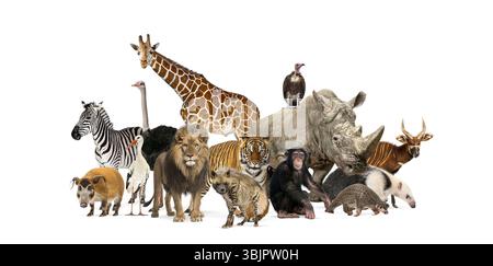Vielfältige Gruppe wilder Zootiere, darunter Säugetiere, Vögel und Reptilien, die zusammen stehen und die Biodiversität und den Schutz der Tierwelt zeigen Stockfoto