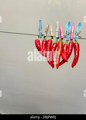 Rote Chilischoten, die auf einer Wäscheleine trocknen, die von Wäscheschneiden gehalten wird Stockfoto