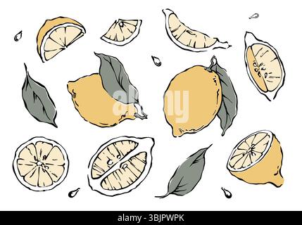 Handgezeichnete Zitronenscheiben und -Blätter Farbillustration auf weißem Hintergrunde Stock Vektor