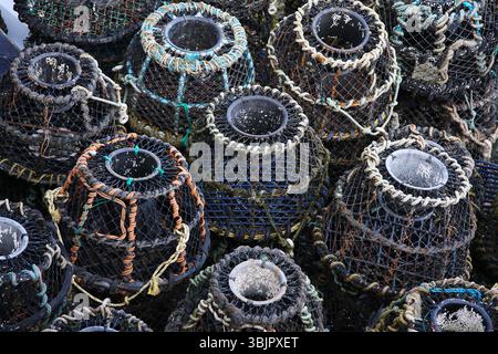 Hummertöpfe aus nächster Nähe abstrakt Stockfoto