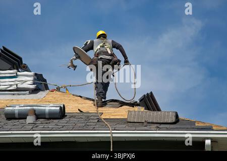 Professioneller Arbeiter im Sicherheitshelm, der Dachmaterialien auf dem Haus aufträgt, perfekt für Bausicherheit und Hausverbesserungskonzepte Stockfoto