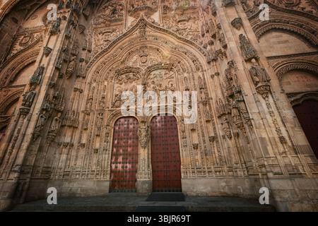 Kunstvolle Fassade der neuen Kathedrale von Salamanca, Spanien, mit der Puerta de Ramos mit detaillierten gotischen und plateresken Steinschnitzereien Stockfoto