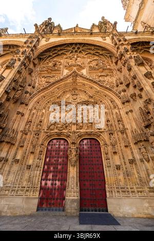 Kunstvolle Fassade der neuen Kathedrale von Salamanca, Spanien, mit der Puerta de Ramos mit detaillierten gotischen und plateresken Steinschnitzereien Stockfoto