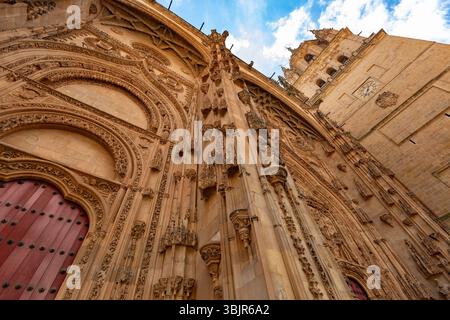 Kunstvolle Fassade der neuen Kathedrale von Salamanca, Spanien, mit der Puerta de Ramos mit detaillierten gotischen und plateresken Steinschnitzereien Stockfoto
