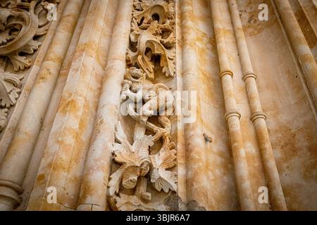 Reich verziertes Basrelief der neuen Kathedrale von Salamanca, Spanien, mit der Puerta de Ramos mit detaillierten gotischen und plateresken Steinschnitzereien Stockfoto
