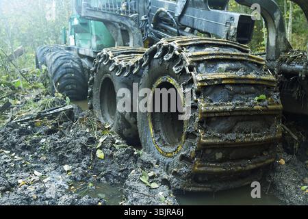 Holzwagen, Holzträger-Wagen mit Manipulator auf speziellen Sumpfrädern fahren zur Beladung auf einer Forststraße. Ausrüstung für die Holzindustrie Stockfoto