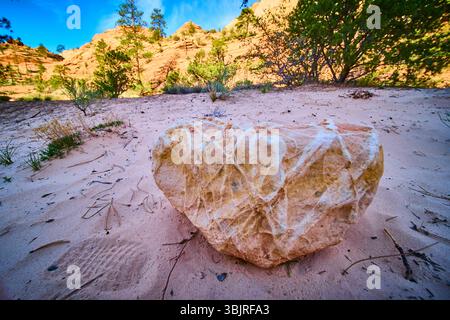 Strukturierte Sandstone Rock- und Wüstenvegetation mit Red Cliffs im Erdgeschoss Stockfoto