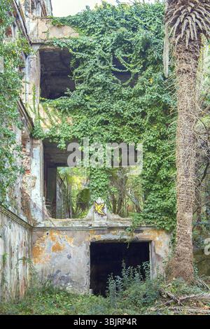 Haus mit Efeu, Palme, verlassenes Herrenhaus mit Park, Lost Paradise, Massenflucht Stockfoto