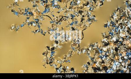 Kunststoff wird in Wasserbecken und schrittweise durch Sonne und Wellen zerstört. Plastische Teilchen sammeln sich in Felder und Klumpen auf der Wasseroberfläche und in der t Stockfoto