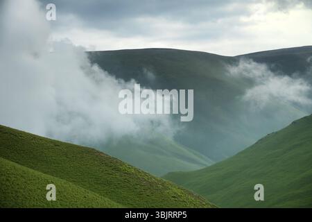 Saftige und glatte Almwiesen (Alp-Wiese) auf Hochebene (dreitausend Meter v. l.) als idealer Ort für Weideviehherden und leichte Wanderungen f Stockfoto