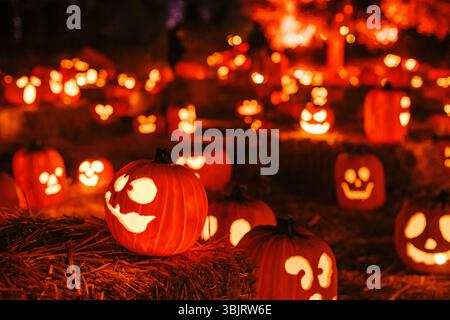 Kürbisse glühen unter dem Herbstnachthimmel während Halloween-Feiern in einem festlichen Kürbisfeld Stockfoto