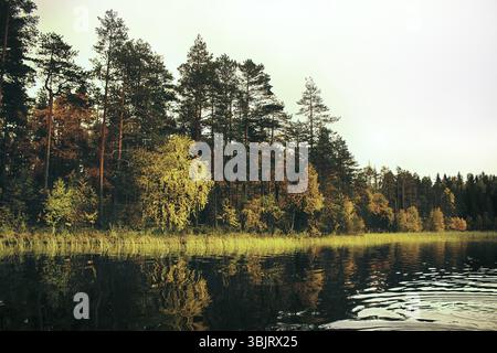 Reiche Auswahl an Farben der Herbst Wald am Ufer eines ruhigen See im leichten Nebel, Baum Spiegelungen im Wasser. Die Nostalgie der Herbsttage in Nord Stockfoto