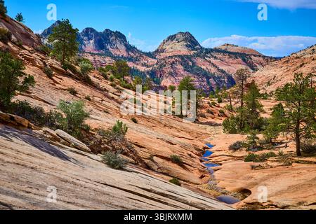 Red Sandstone Formations Pine Trees and Stream in Zion National Park Eye Level Stockfoto