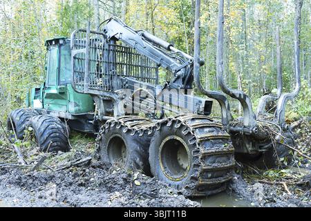 Holzwagen, Holzträger-Wagen mit Manipulator auf speziellen Sumpfrädern fahren zur Beladung auf einer Forststraße. Ausrüstung für die Holzindustrie Stockfoto