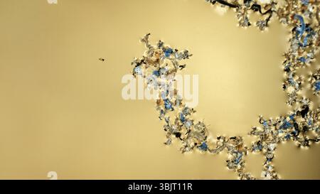 Kunststoff wird in Wasserbecken und schrittweise durch Sonne und Wellen zerstört. Plastische Teilchen sammeln sich in Felder und Klumpen auf der Wasseroberfläche und in der t Stockfoto