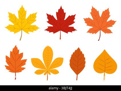 Farbenfrohe Herbstblätter in verschiedenen Formen und Farbtönen vor einem sauberen Hintergrund, die das Wesen des Herbstes in der Natur einfangen Stock Vektor
