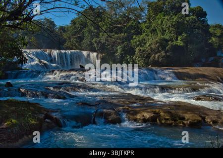 Cascadas de Agua Azul in Chiapas, Mexiko, türkisfarbene Wasserfälle umgeben von Dschungel, ein Naturwunder und beliebtes Reiseziel Stockfoto