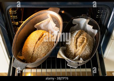 Frisch gebackene Brotlaibe, die kurz vor dem Servieren im Ofen gekühlt werden Stockfoto