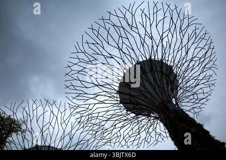 Flacher Blick auf futuristische Supertree-Skulpturen in Gardens by the Bay, Singapur. Stockfoto