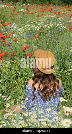 Eine freudige Frau sitzt in einem üppigen, farbenfrohen Blumenfeld, das mit Wildblumen in verschiedenen Farben geschmückt ist. Die hellen Rot- und Weißtöne sorgen für eine fröhliche Atmosphäre Stockfoto