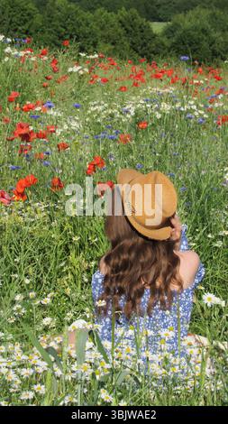 Eine Frau sitzt in einem blühenden Blumenfeld und trägt einen Strohhut. Sie bewundert die umliegenden Wildblumen in Rot-, Blau- und Gelbtönen an einem sonnigen Tag. Stockfoto