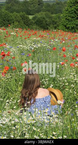 Eine Frau in einem blauen Blumenkleid entspannt sich auf einer lebendigen Wiese voller roter Mohnblumen und weißer Gänseblümchen. Die Sonne scheint hell und schafft einen friedlichen geldautomaten Stockfoto