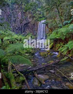 Lange Exposition des Wasserfalles der Hopetoun Falls im Farnrinnen-Regenwald am Aire River im Otway National Park, Victoria, Australien Stockfoto