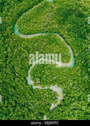 Ein unglaublicher Blick von oben nach unten aus der Luft fängt die Serpentinkurve eines Flusses ein, der sich durch einen dichten Mangrovenwald schlängelt Stockfoto