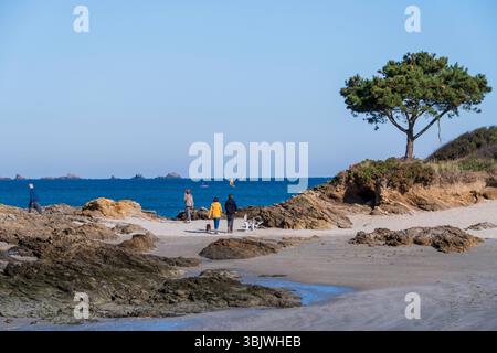 Lancieux (Bretagne, Nordwestfrankreich): Küstenlandschaft mit Briantais Beach. Spaziergänger am Strand Stockfoto