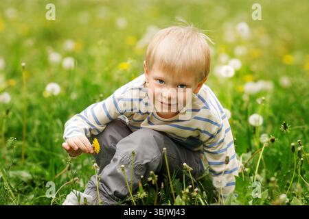 Lächelnder Junge, der Löwenzahn im Frühlingsfeld pflückt Stockfoto