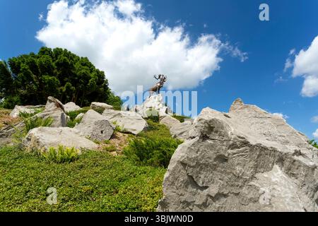 Beaumont-Hamel (Nordfrankreich): Das Beaumont-Hamel Neufundland Memorial mit dem Schlachtfeld des Schutzgebiets, Gräben und Muschelkrater aus der Schlacht um die Schlacht um die Stadt Stockfoto