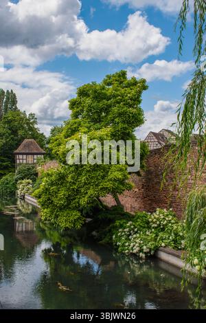 Elsass, Frankreich, Europa: Blick auf La Petite Venise (Little Venice), Viertel Colmar mit Kanälen am Fluss Lauch und farbenfrohen Fachwerkhäusern Stockfoto