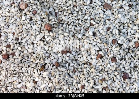 Kiessteine mit gemischten Farben und Texturen. Eine Nahaufnahme einer Kiesoberfläche, die aus kleinen Steinen in verschiedenen Grau-, weiß- und Brauntönen besteht. Stockfoto