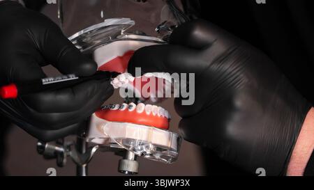 Nahaufnahme eines Zahnmodells mit in Bearbeitung befindlichen Zahnspangen. Eine detaillierte Nahaufnahme eines Zahnmodells, an dem gearbeitet wird, zeigt ein Paar Hände in schwarzen Handschuhen Stockfoto