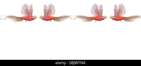 Fliegende tropische Vögel mit langen Schwänzen bilden eine elegante nahtlose Grenze. Handgemalt in Aquarell, perfekt für Hochzeitspapier, Branding, Stoff Stockfoto