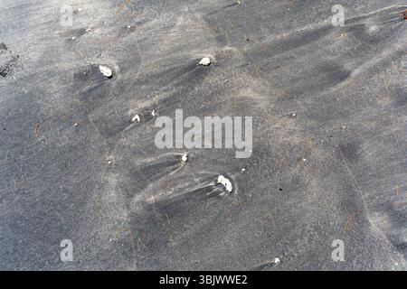 Das Bild zeigt eine ruhige Strandszene mit ein paar Felsen, die über den Sand verstreut sind, und einigen Spuren, die von Besuchern hinterlassen wurden. Die schwarz-weiß-Co Stockfoto