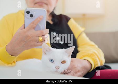 Ältere Frau mit Katze auf dem Sofa. Lächelnde, glückliche ältere Frau sitzend und benutzte das Telefon mit einem pelzigen weißen Haustier allein zu Hause. Selektiver Fokus auf Katze Stockfoto