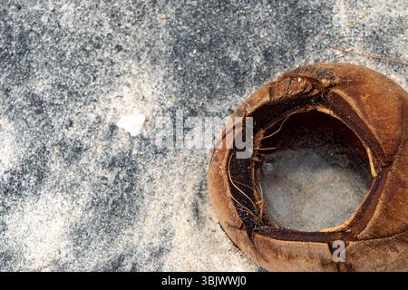 Die Kokosnussschale sitzt auf dem Boden, ein kleines Stück davon fehlt. Das Gehäuse hat Risse und ein Loch, wodurch es einen abgenutzten und verwitterten ap erhält Stockfoto