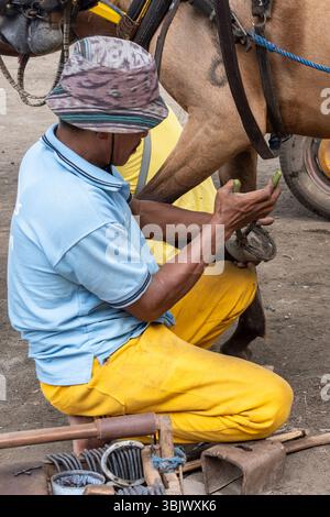 Gili, Lombok, Indonesien - 3. Januar 2025: Der Mensch arbeitet an einem Pferdehufe. Das Pferd ist an einen Wagen gebunden. Der Mann trägt ein gelbes Hemd und eine gelbe Pfanne Stockfoto
