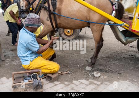 Gili, Lombok, Indonesien - 3. Januar 2025: Der Mensch arbeitet an einem Pferdehufe. Das Pferd ist an einen Wagen gebunden. Der Mann trägt ein gelbes Hemd und eine gelbe Pfanne Stockfoto