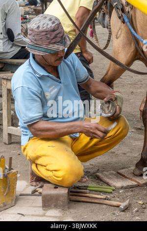 Gili, Lombok, Indonesien - 3. Januar 2025: Der Mensch arbeitet an einem Pferdehufe. Das Pferd ist an einen Wagen gebunden. Der Mann trägt ein gelbes Hemd und eine gelbe Pfanne Stockfoto
